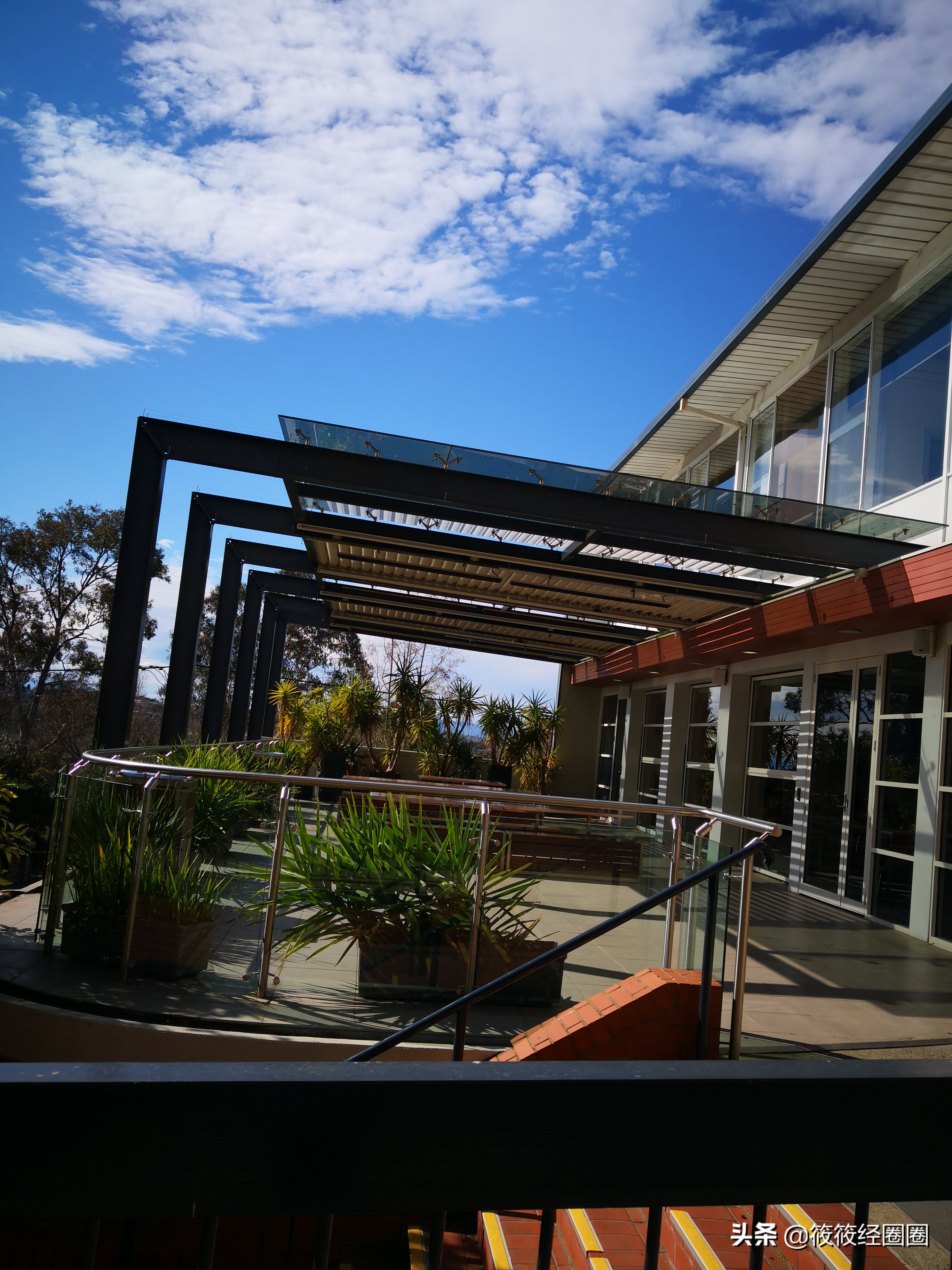 澳大利亚的中学,澳大利亚中学排名