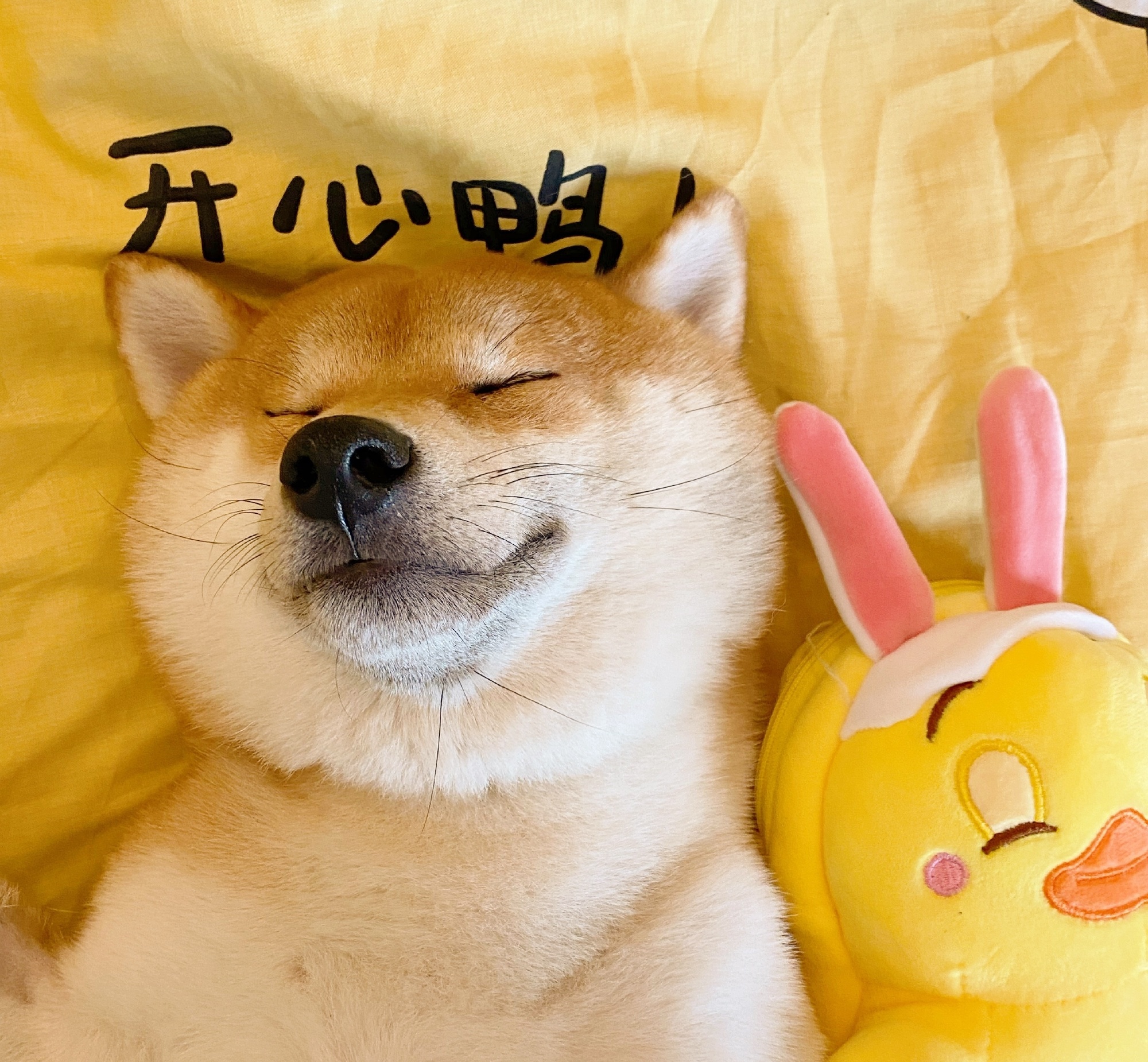 夸帅哥的文案沙雕,戏精脱口秀文案