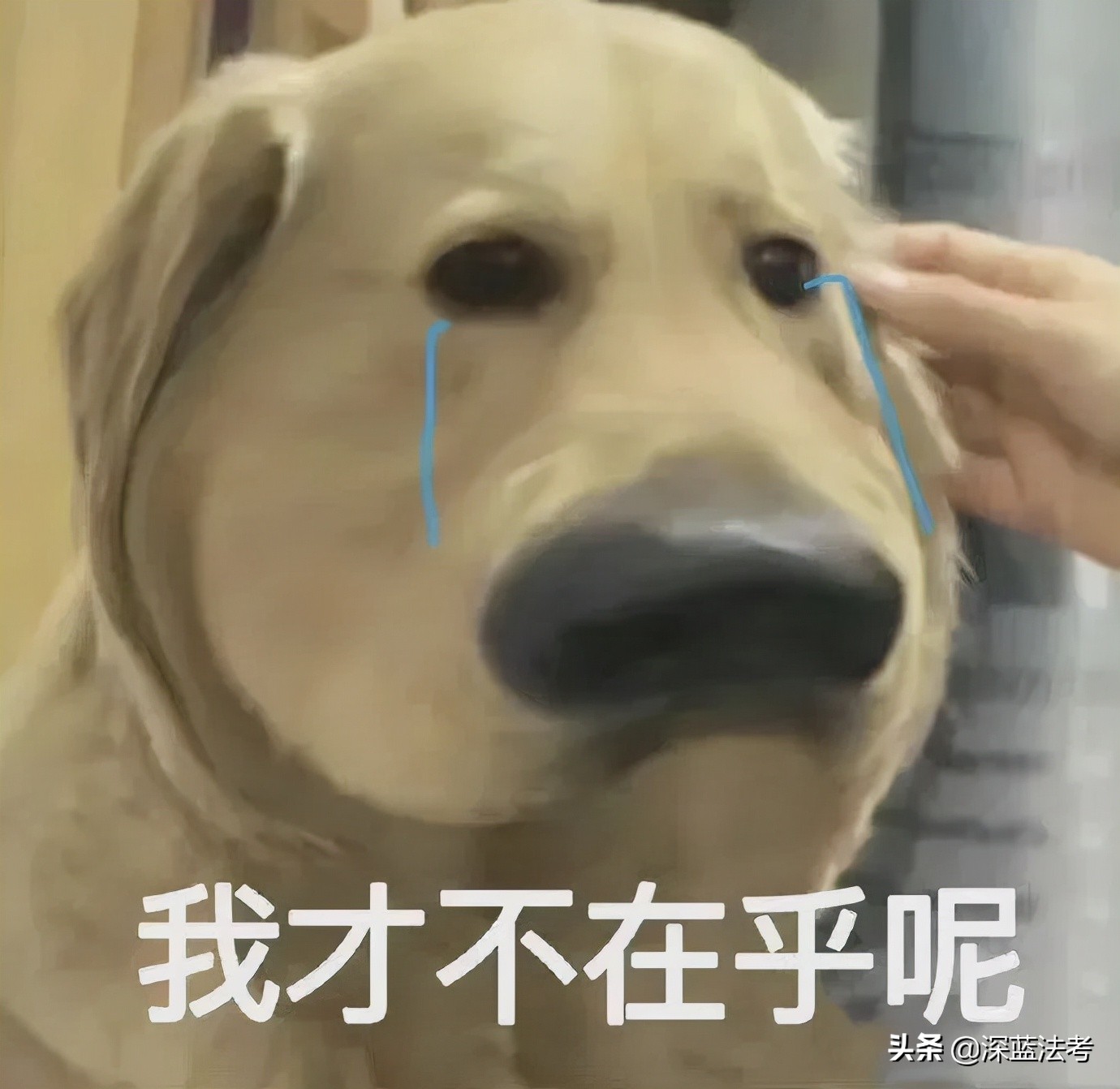 学法律过不了法考还能做什么,过不了法考好考公务员吗