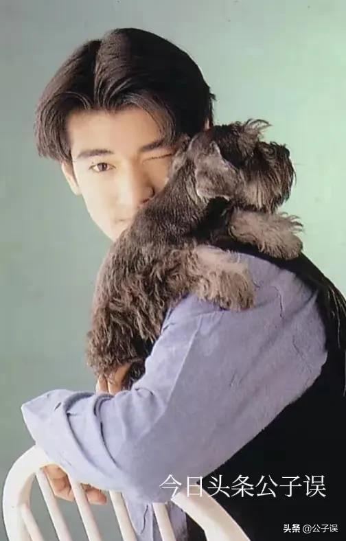 金城武情感经历,金城武陈慧琳图片