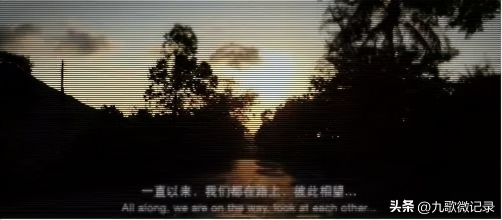 电商职业打假人净化市场,电商职业打假人主要的打假类目