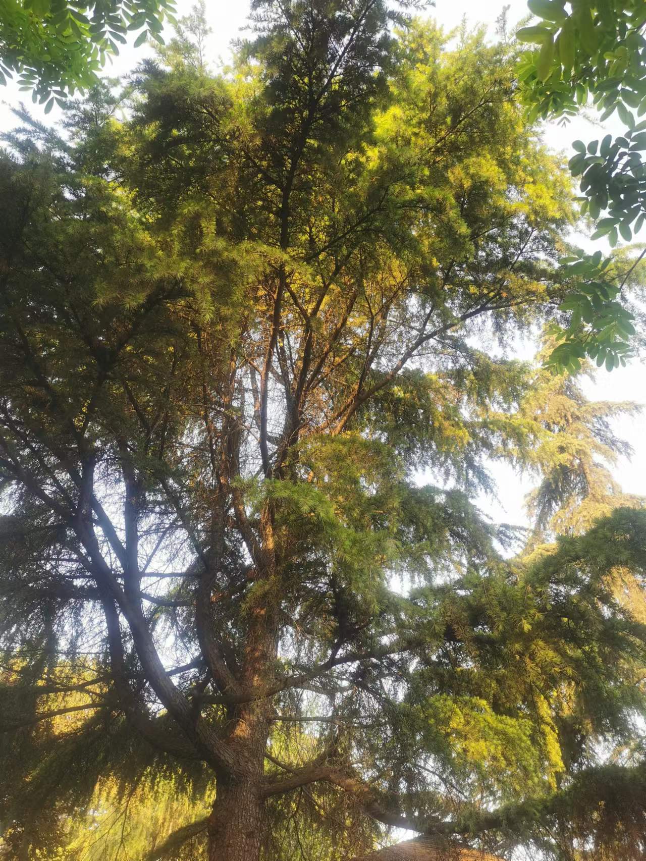 贩卖毒品死刑改判,贩卖毒品50万的判决案例