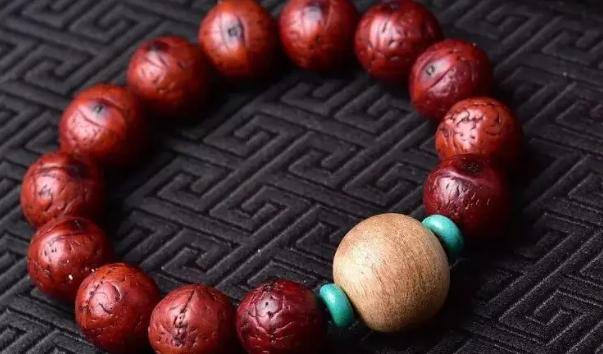 凤眼菩提基本知识新手须知,凤眼菩提正确手法