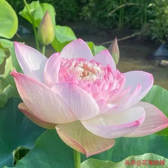 感觉自己好累好累的句子,感觉自己每天都好累好累