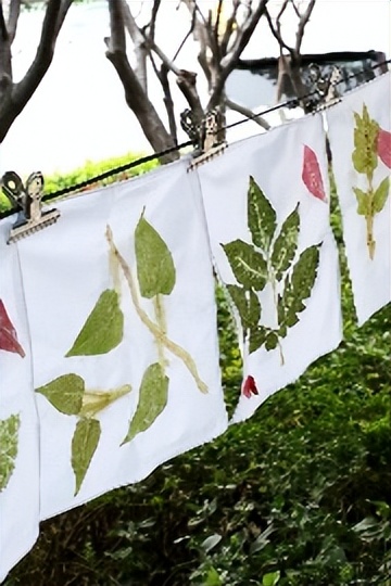 北京自然博物馆老年人免票吗,北京自然博物馆五一