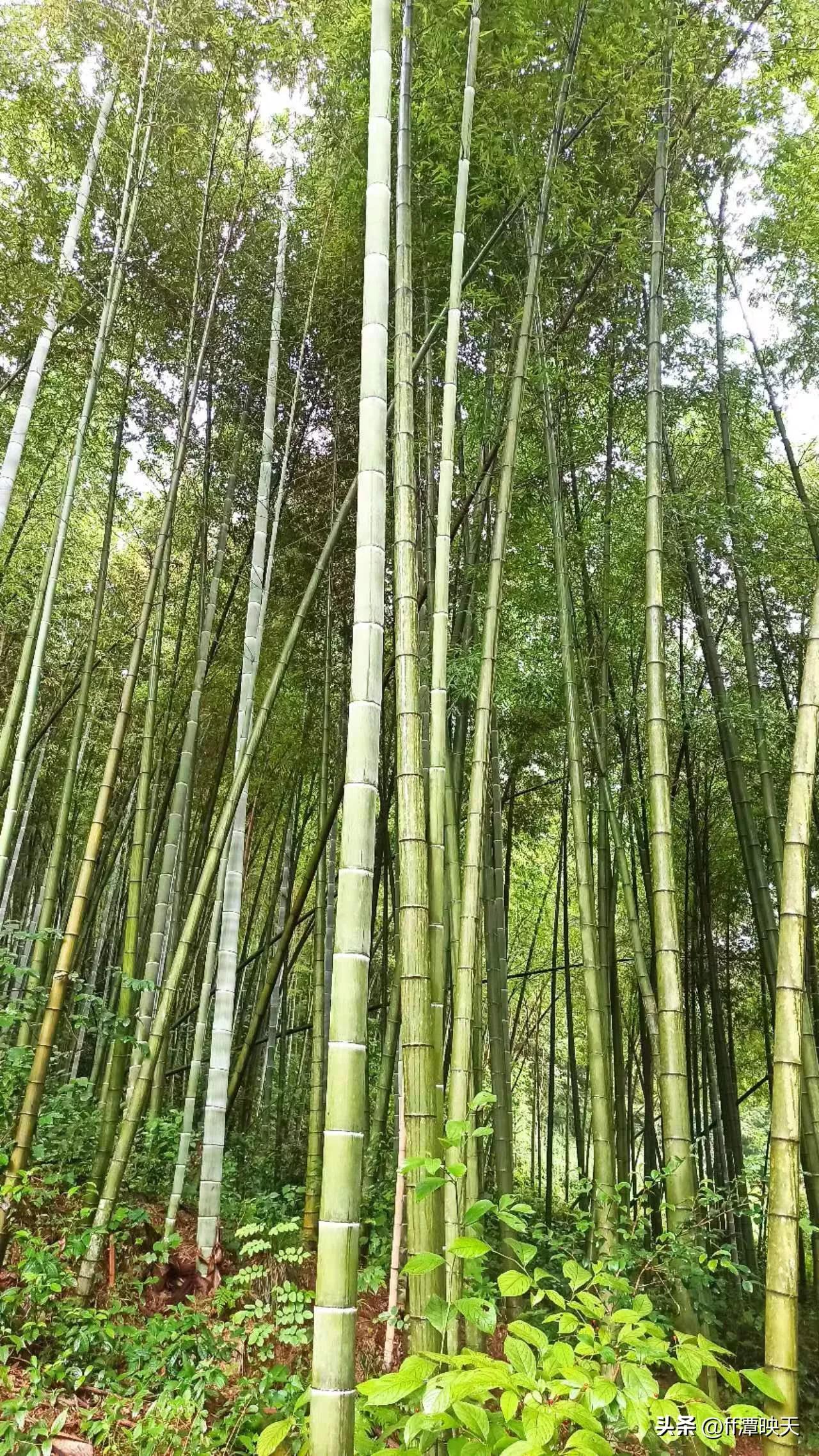 第18章暂别时的感怀1