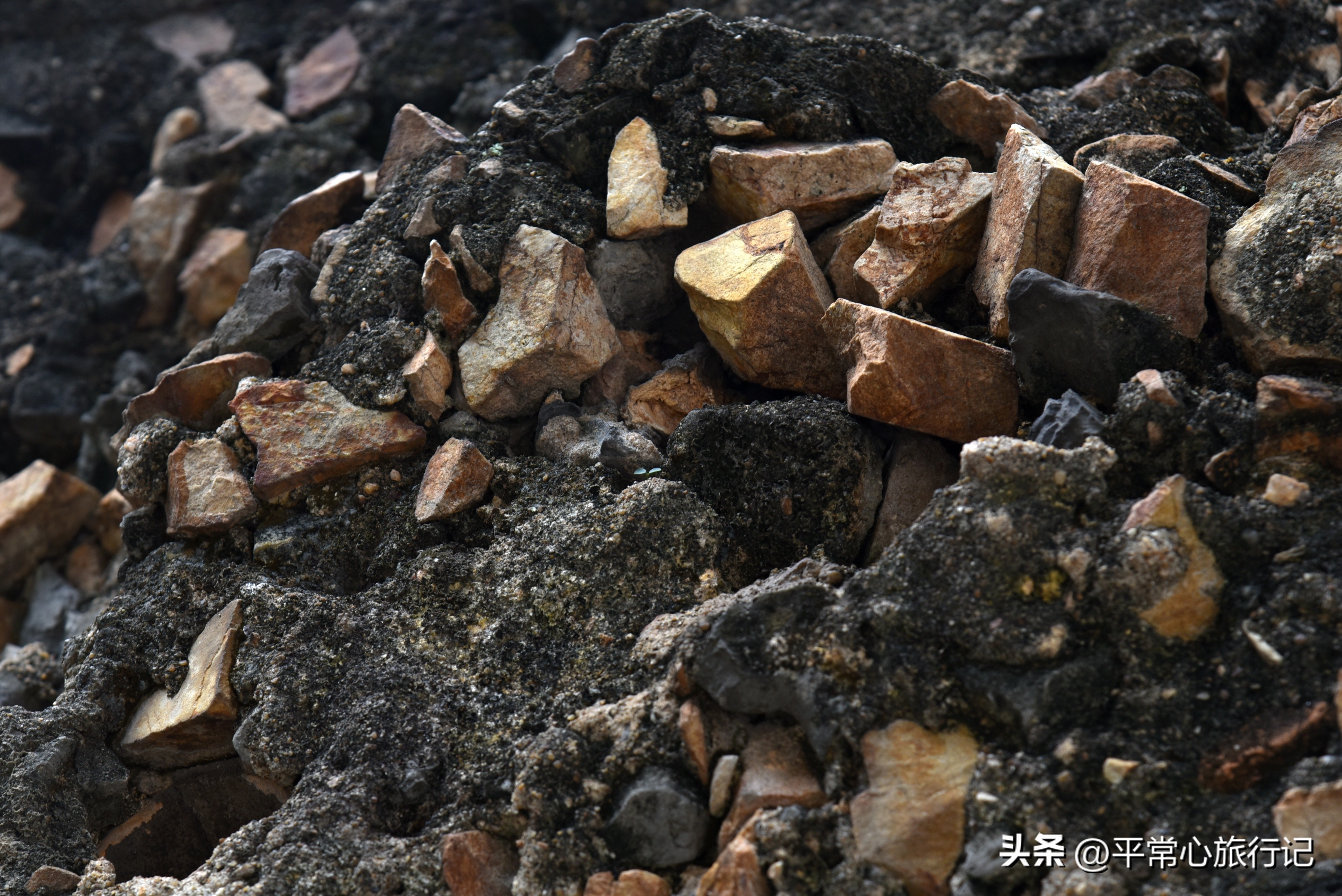 狂飙江门取景地打卡旧厂街,江门三十三墟街景点介绍