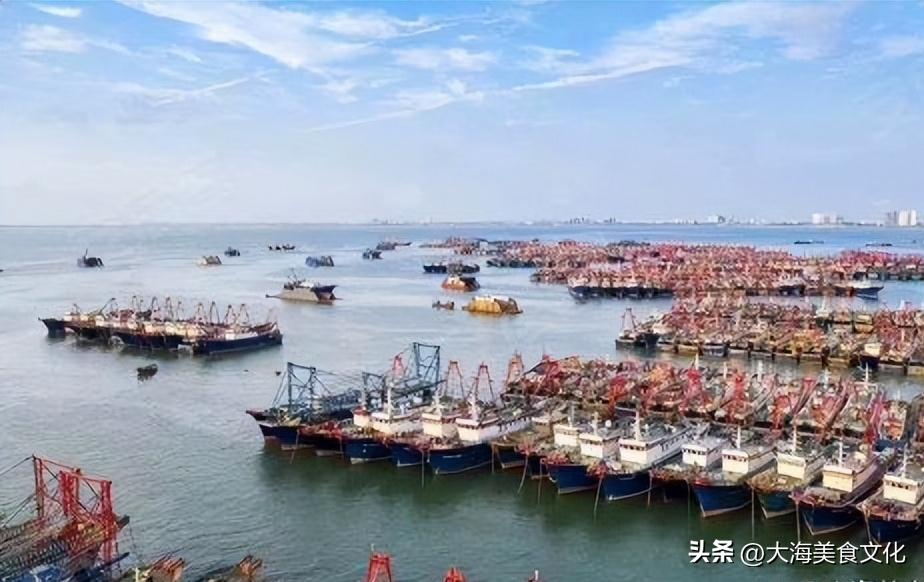 野生海鲈鱼的10种最佳吃法,野生的淡水鲈鱼最好吃的做法