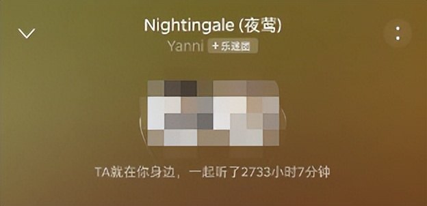 网易云音乐有什么听不了的,网易云音乐不能听到声音