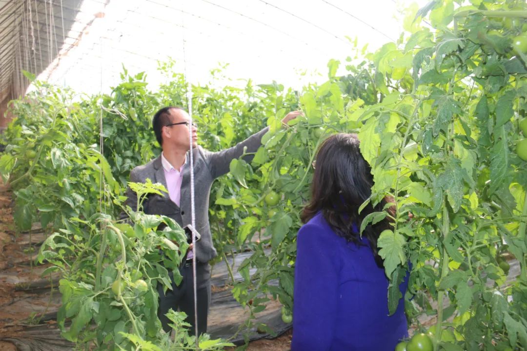 北方冬天，餐桌上的蔬菜水果与这些气象人有关！