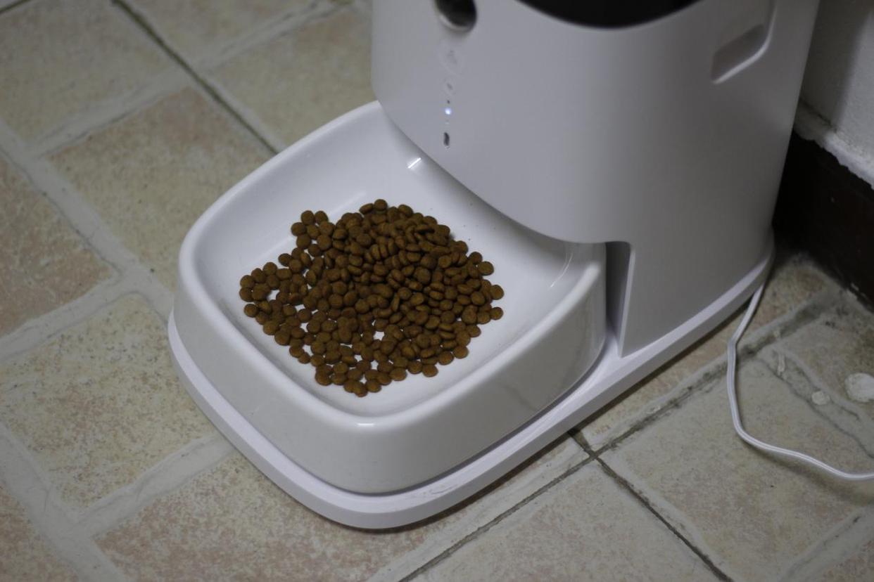 多猫宠物智能喂食器测评,宠物猫狗智能喂食器