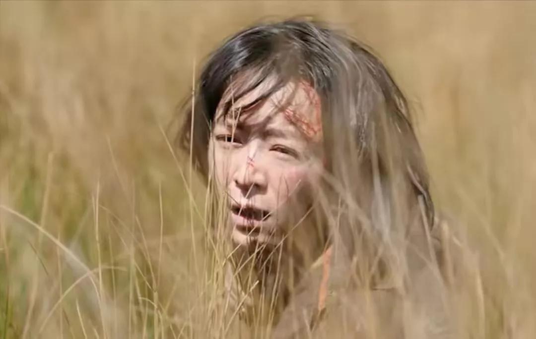 漫长的季节电视剧深度解析,漫长的季节电视剧好看吗