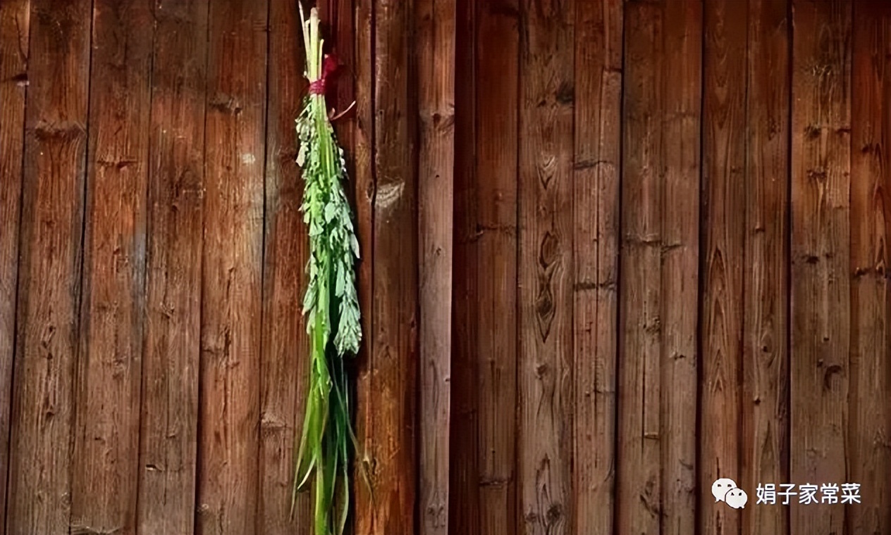端午节挂艾草的讲究禁忌,端午挂艾草有什么讲究南方