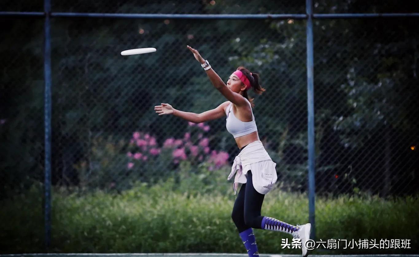 懂懂日记,懂懂日记全集完整版