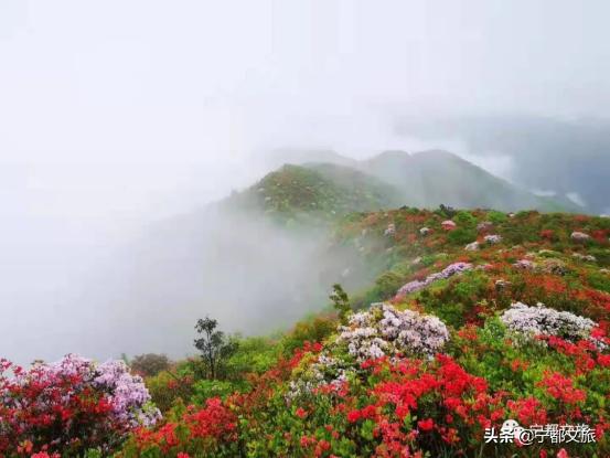 江西赣州宁都美景,江西宁都景色