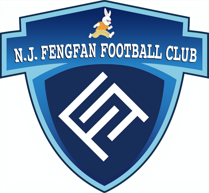 南京城市足球俱乐部是中甲吗,南京足球青训俱乐部排名