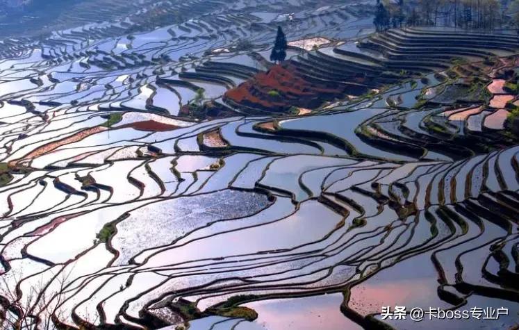 去云南旅游应该去哪些景点好一点,旅游攻略去云南必去景点