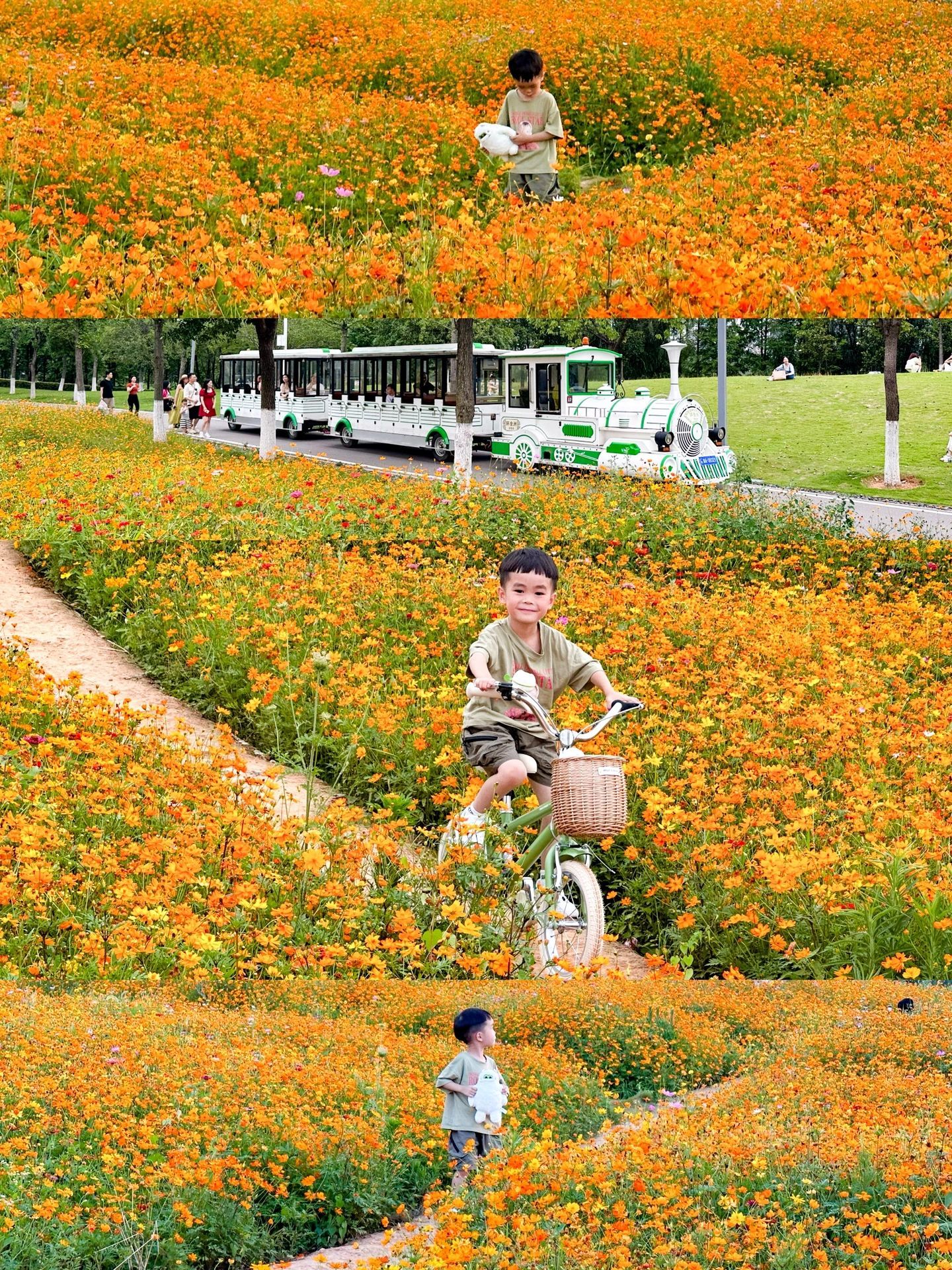 长沙梅溪海洋公园游玩攻略,长沙格桑花海旅游攻略