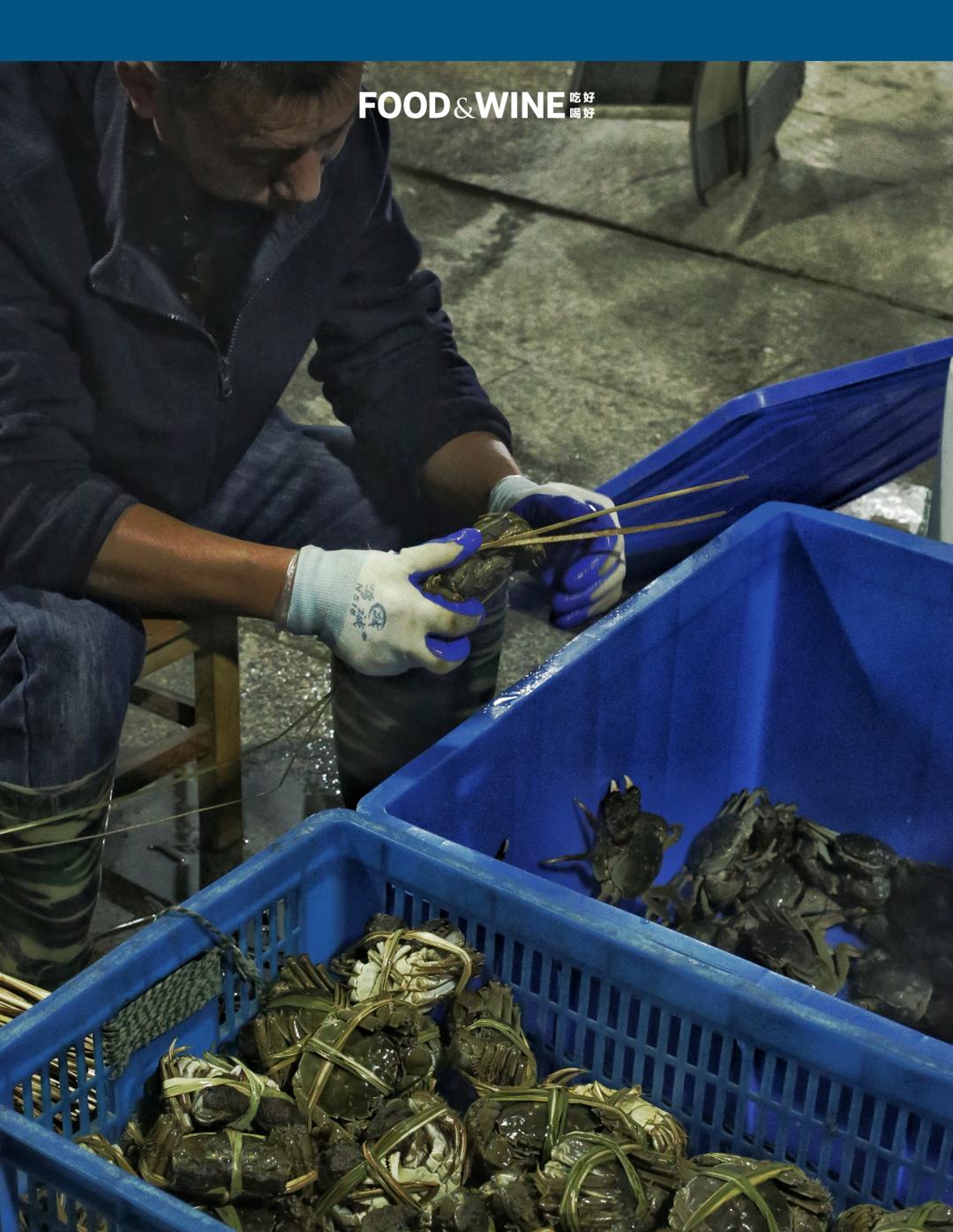 固城湖还是高邮湖螃蟹好,高邮湖螃蟹几月份有