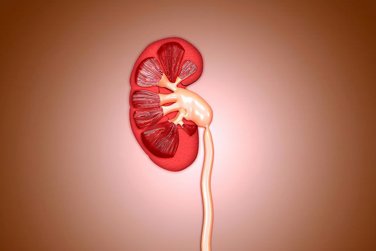 牙龈萎缩牙齿松动中医有什么方法,牙齿松动牙龈萎缩中医治疗