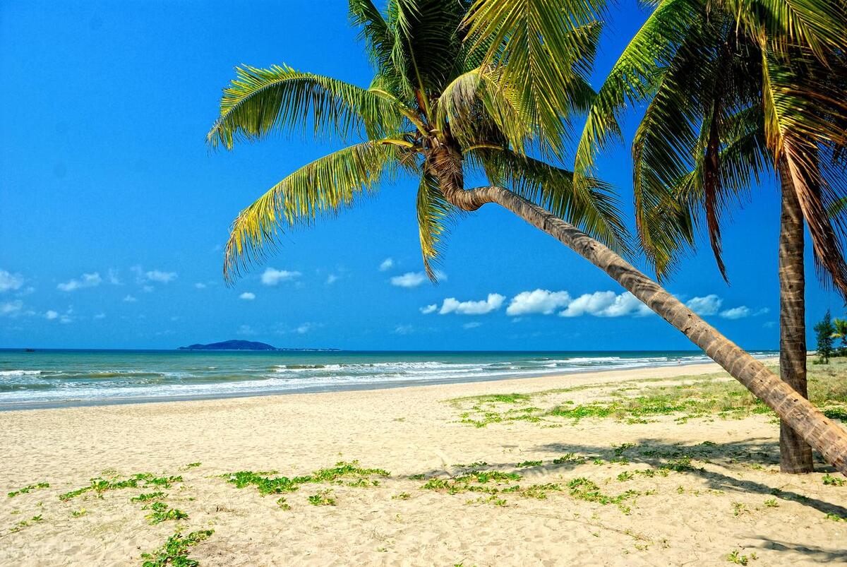 南方旅游指南攻略四天,南方四岛旅游攻略