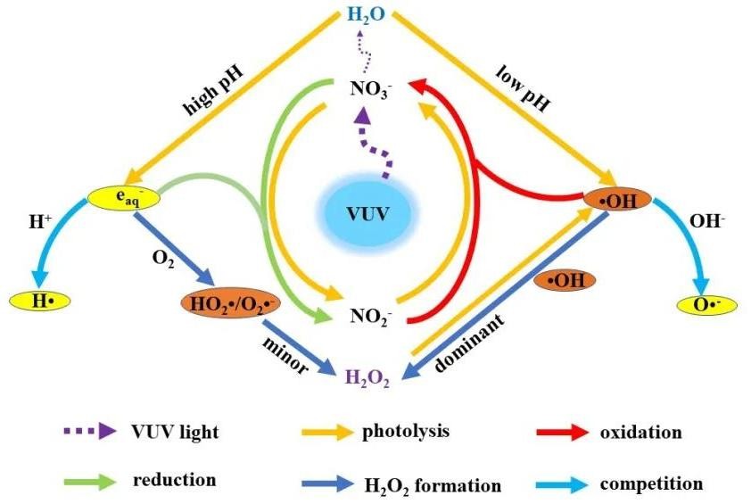 非洲硬舌异口尼罗河的日粮广度变化：对物种保护和水产养殖的影响