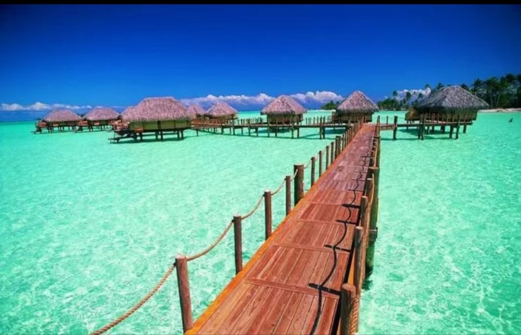 塔希提岛旅游费用,塔希提旅游真实感受