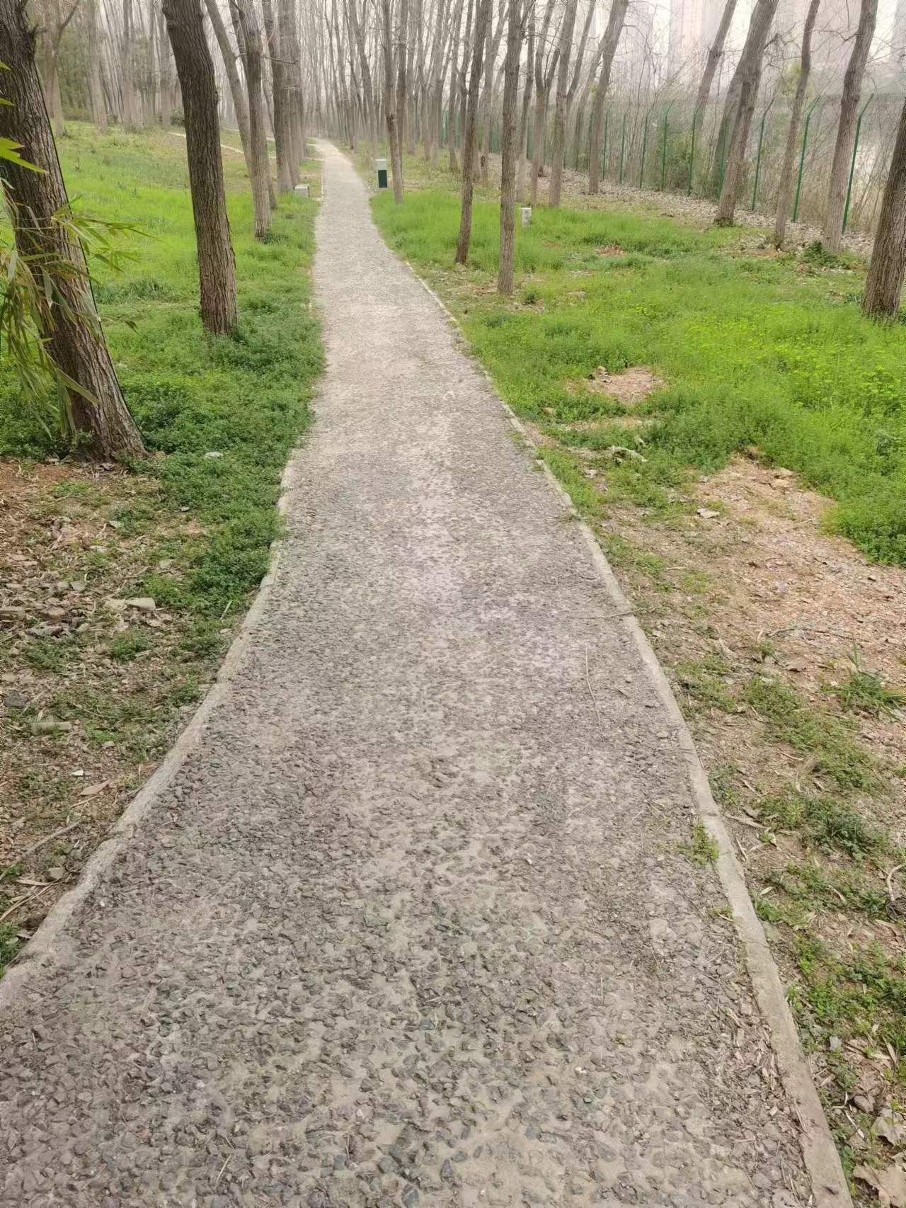 一个跑渣对性价比高的一些跑鞋等装备的亲身感悟