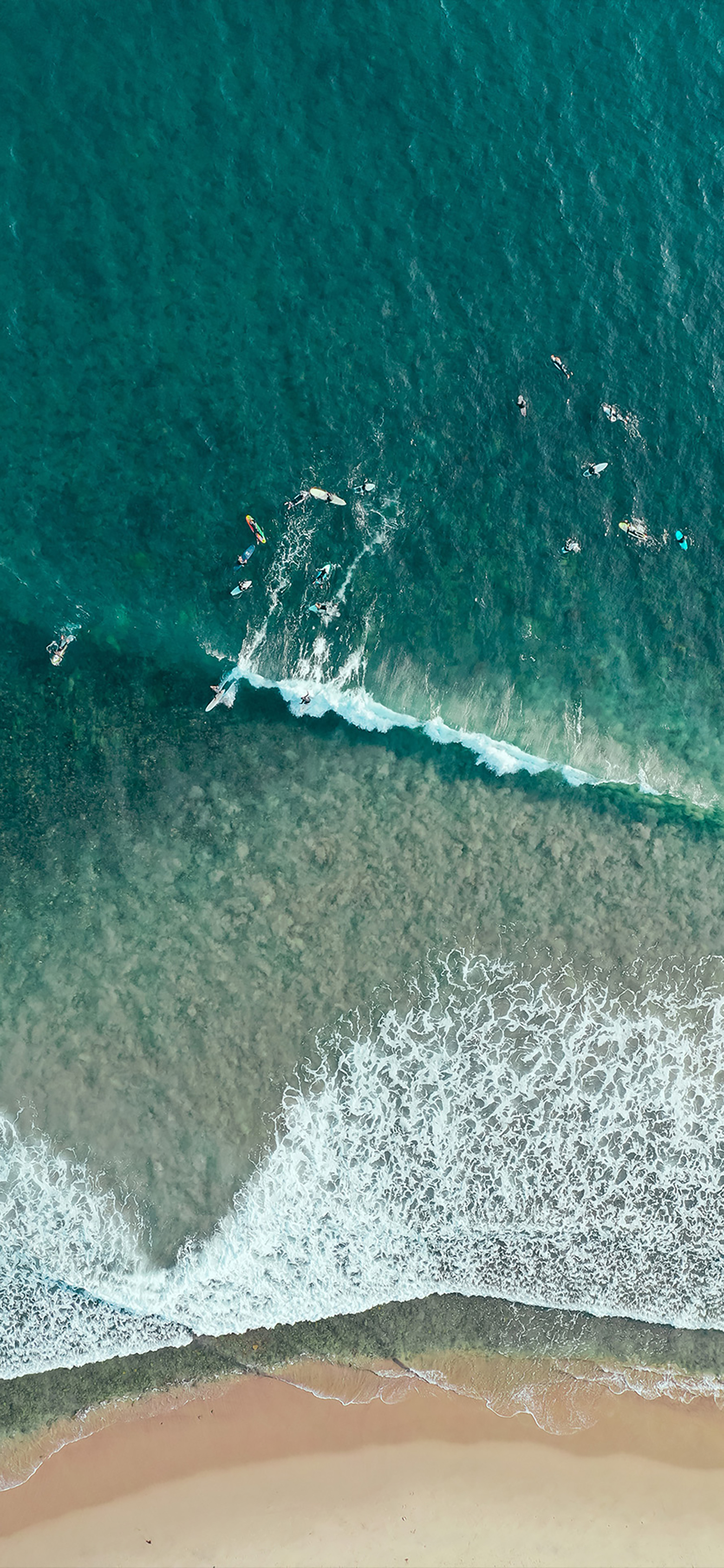 风景壁纸春,春天有百花秋有凉风冬有雪壁纸