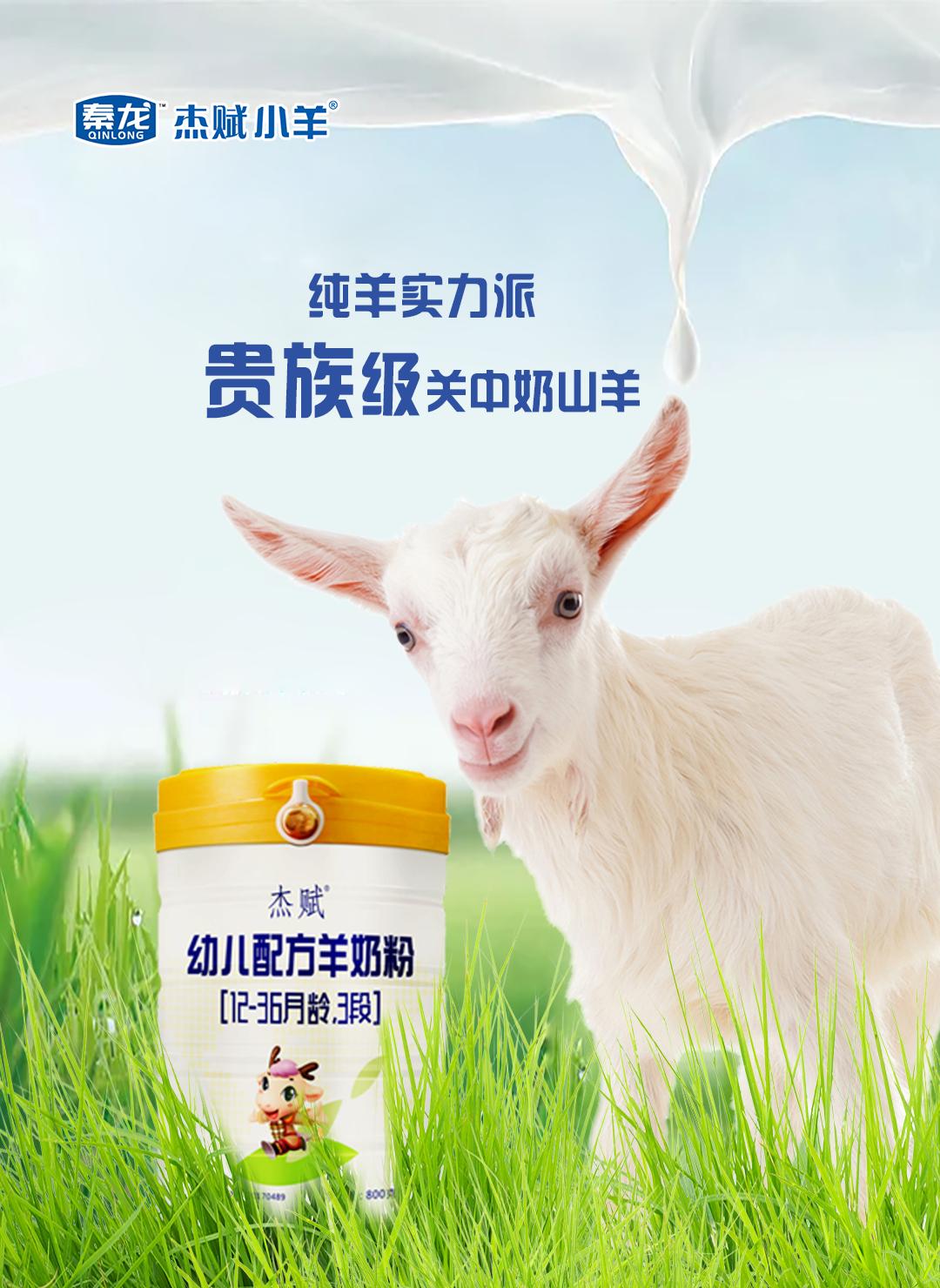 奶粉杰赋,杰赋小羊配方羊奶粉
