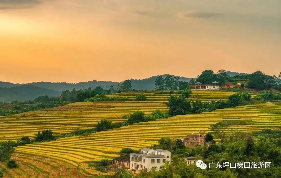 期待梅州客家冲超成功,梅州客家队冲超了对梅州有发展吗