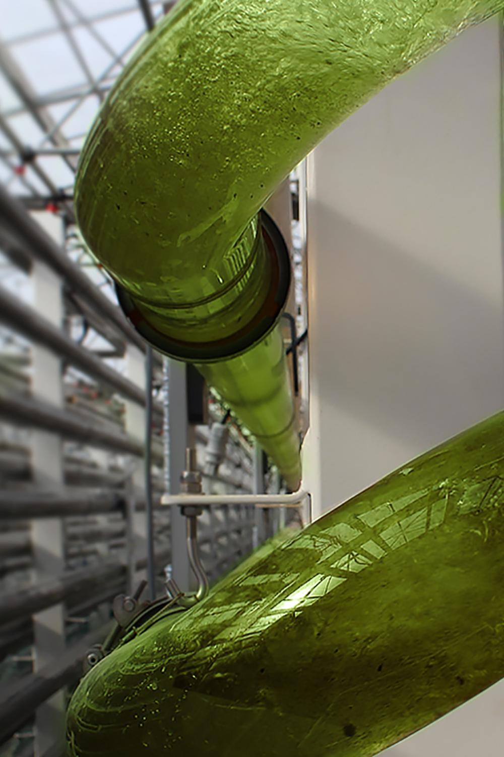 欧莱雅微藻,欧莱雅微藻护肤品