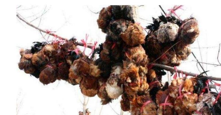 十大最无法想象的黑暗料理,中国各种顶级黑暗料理