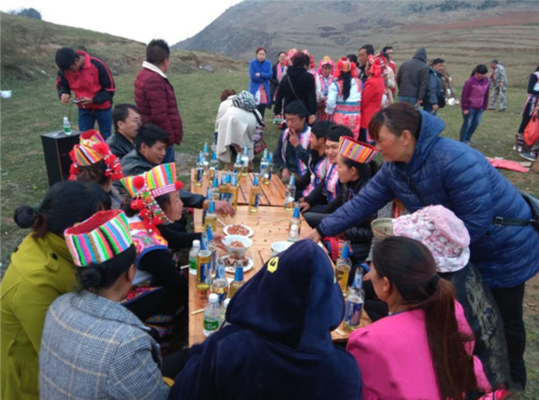 云南惊现怪羊,云南出现黑色怪羊