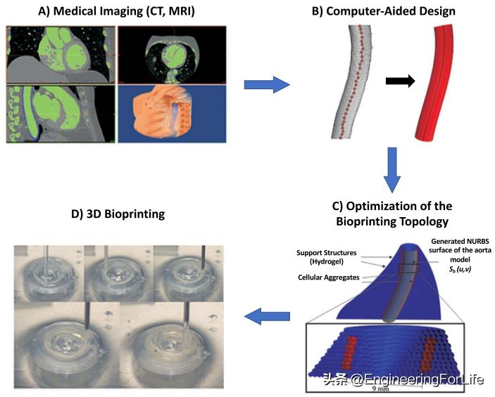 血管组织工程的生物制造方法及生物纺织品