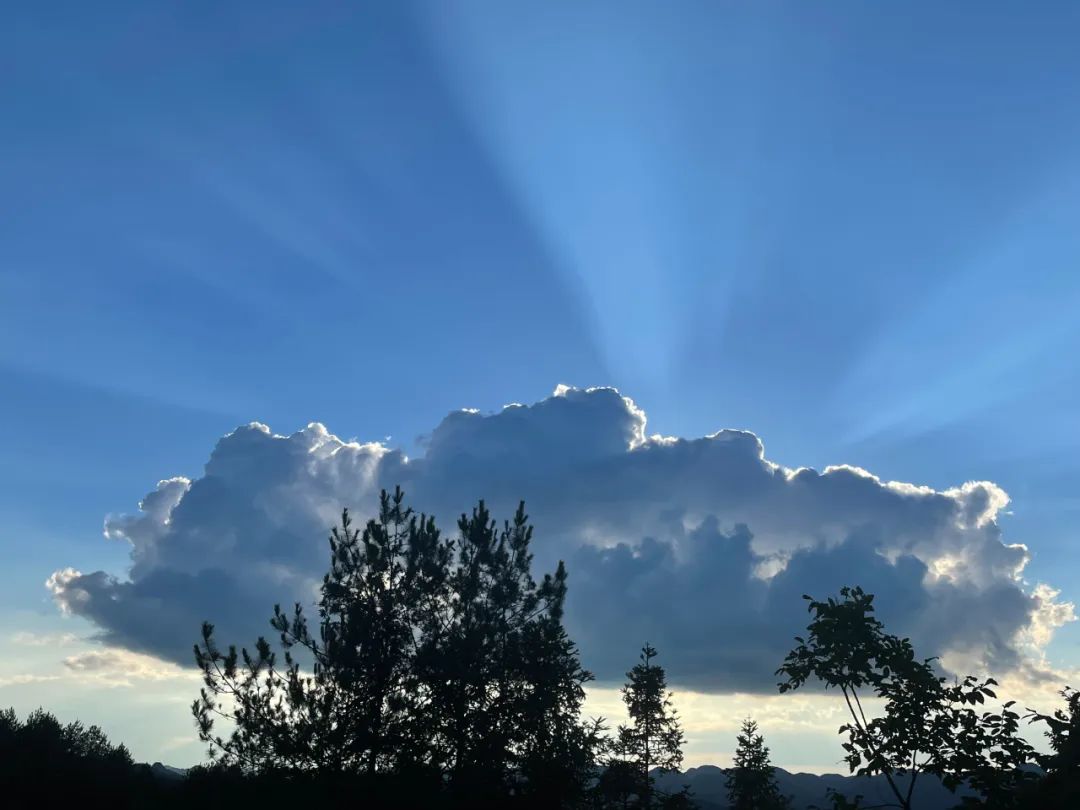 2023年你们都是怎么熬过来的,2023年我们应该怎样过