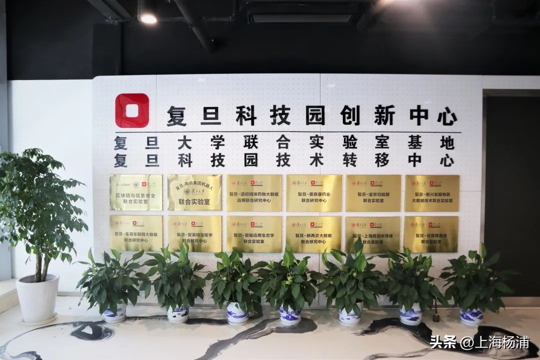 打造“马场生态圈”，这里是优秀项目的“伯乐”丨科技园区巡礼③