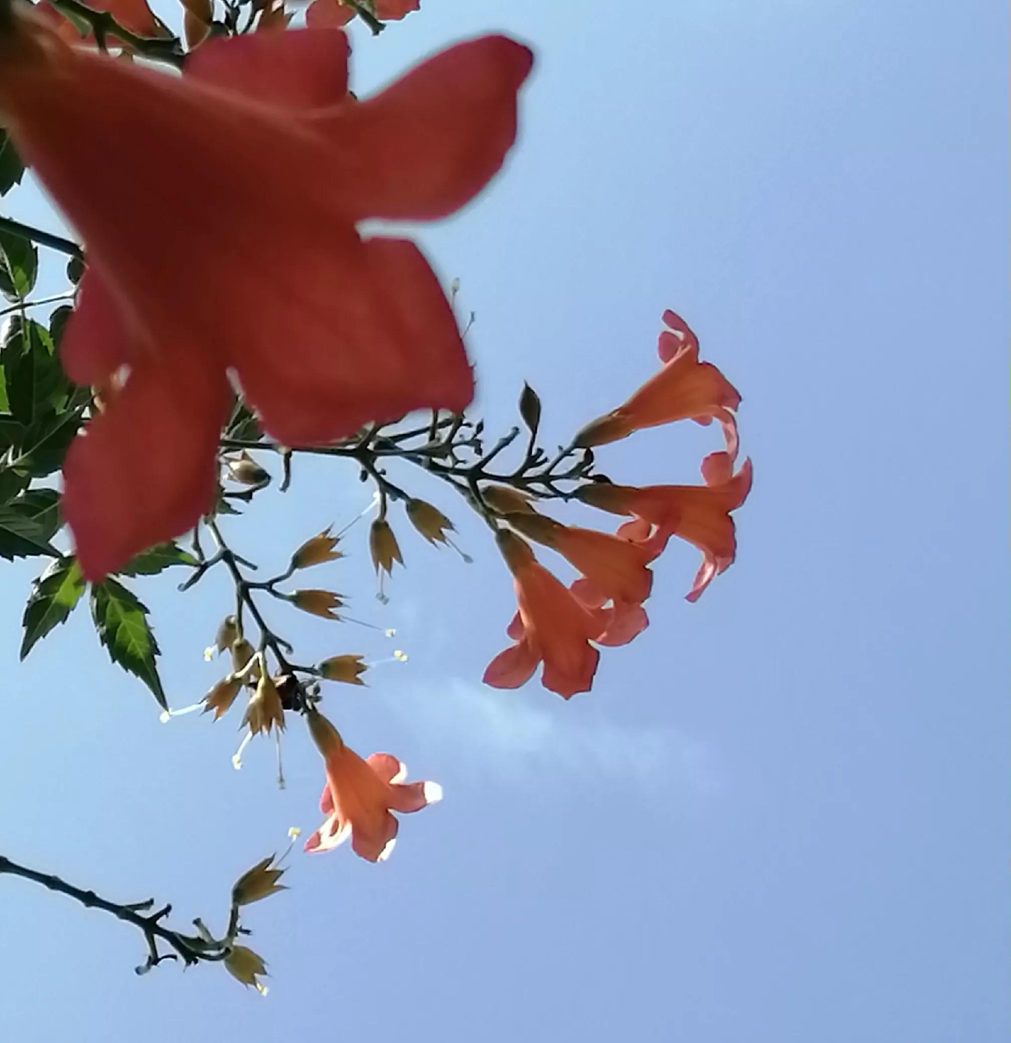 520没钱给老婆发红包,没钱给女朋友发红包咋办