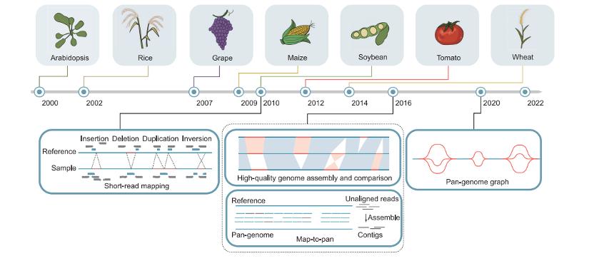 泛基因组学在植物中的应用,综述植物泛基因组及其应用