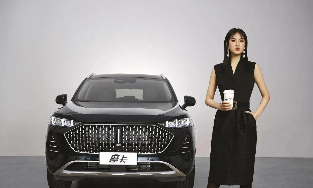 长城汽车连跌三天不涨原因,长城汽车为什么股价跌得这么厉害