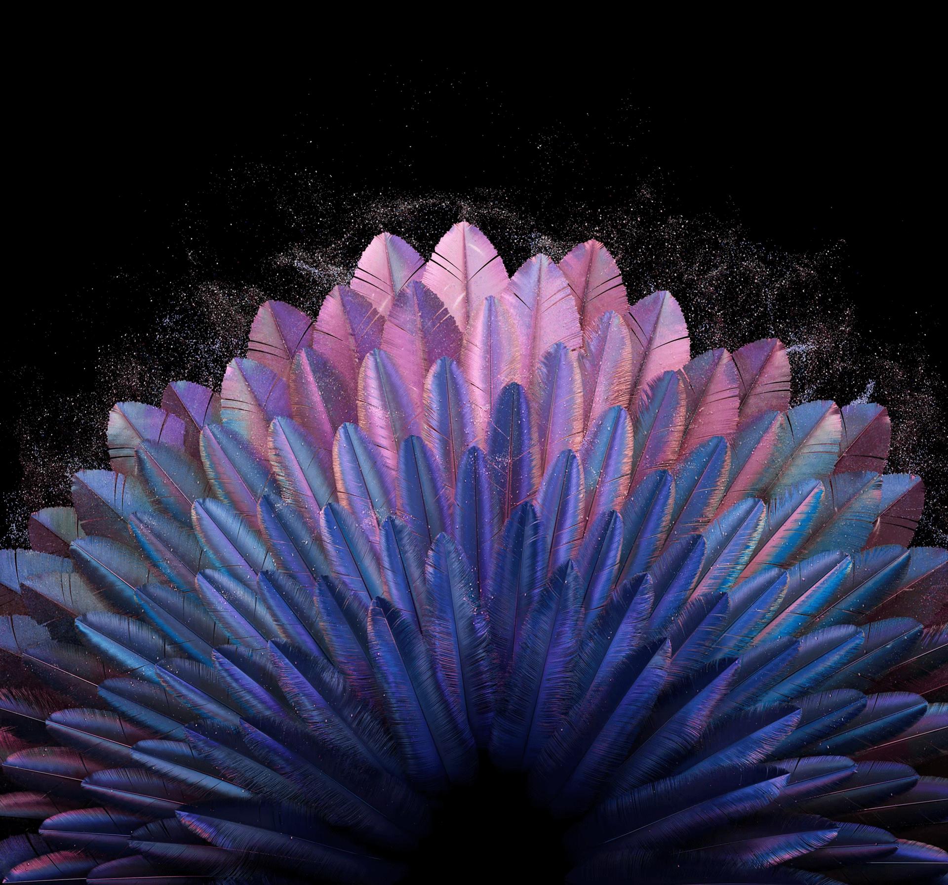 oppofindn2内置壁纸,OPPOFindN2Flip内置壁纸系列