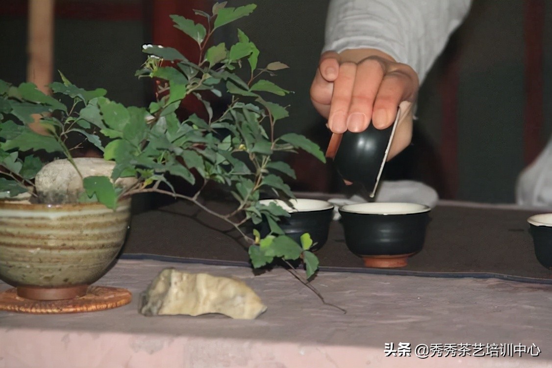 茶艺师秀秀,茶人秀秀