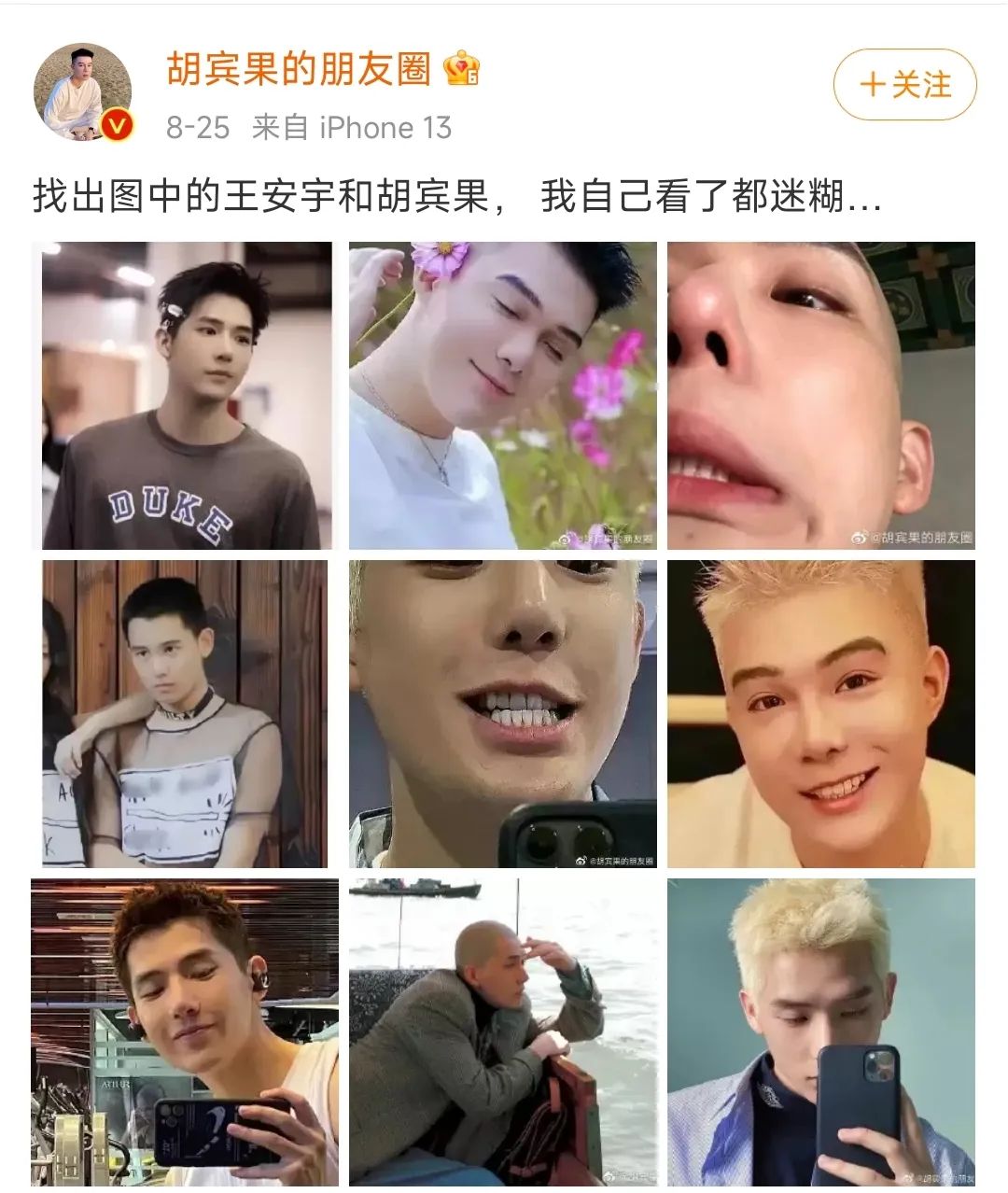 金晨炽道是本色出演吗,金晨王安宇炽道什么剧