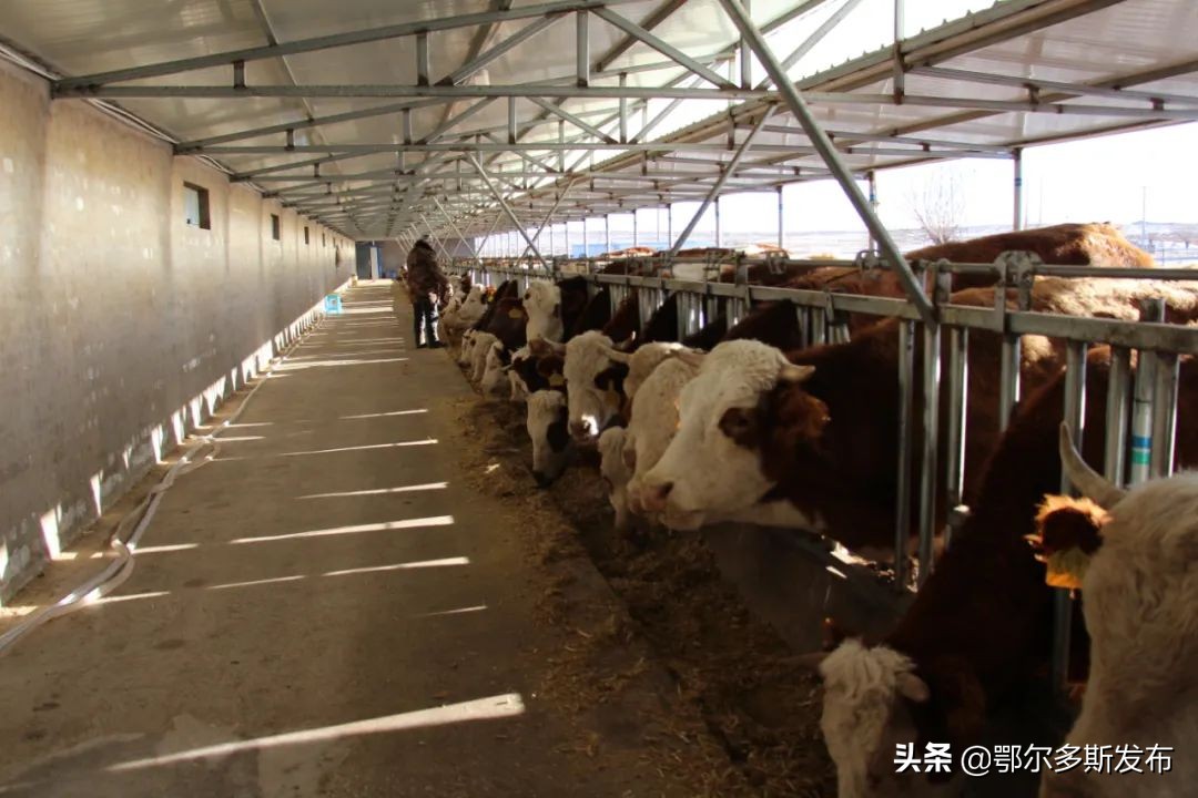 政企合作助力乡村振兴,搭建党建微阵地架起党群连心桥