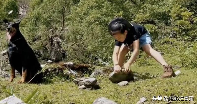 乐嘉为什么喜欢大吼大叫,乐嘉情绪失控经历