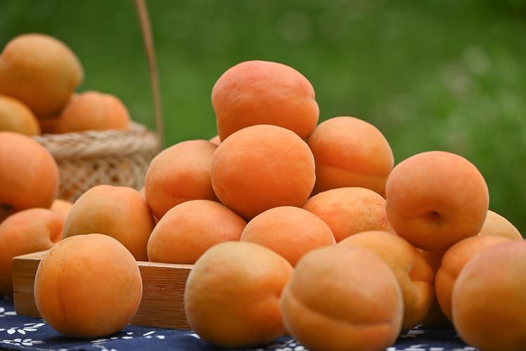 桃养人杏伤人正确说法,为啥说桃养人杏伤人