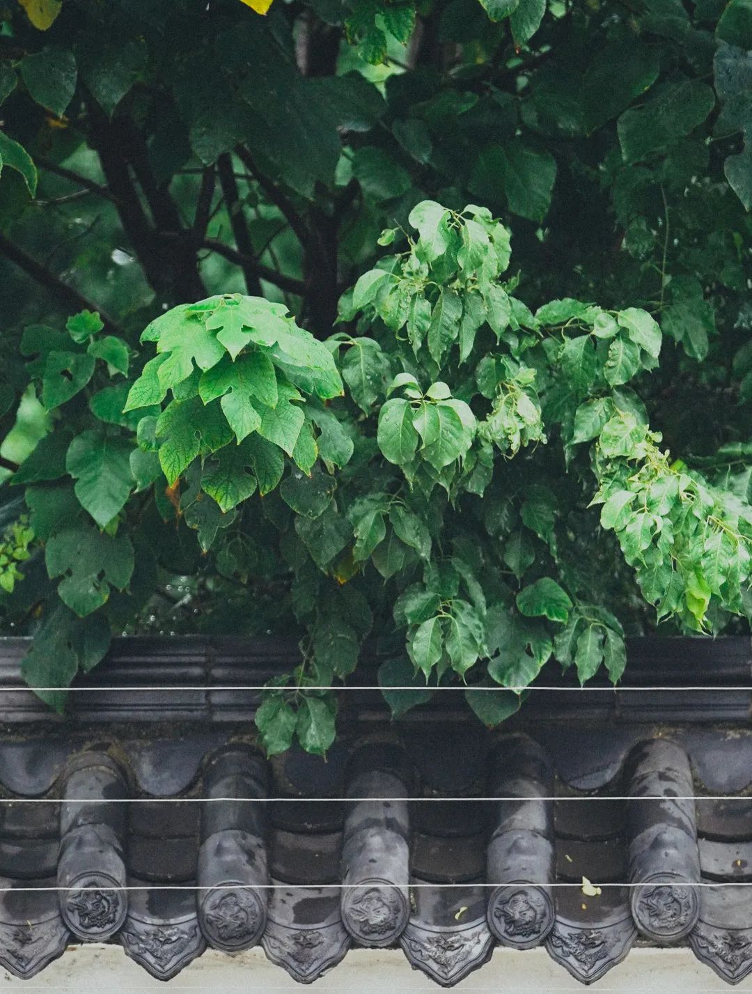 南京市江北新区六一小学：萌娃报道！这所小学的新生礼物惊喜满满