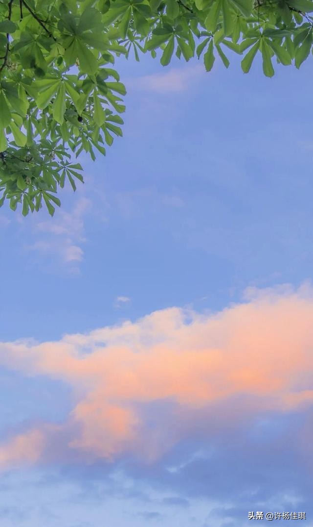 12星座智商排名,12星座性格特点漫画