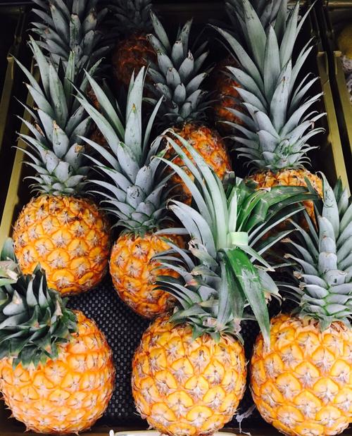 凤梨菠萝营养价值功效作用,树菠萝核的功效和营养价值