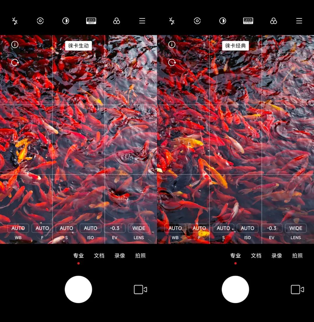 小米13手机专业模式拍照教学,小米手机专业模式拍照教学视频